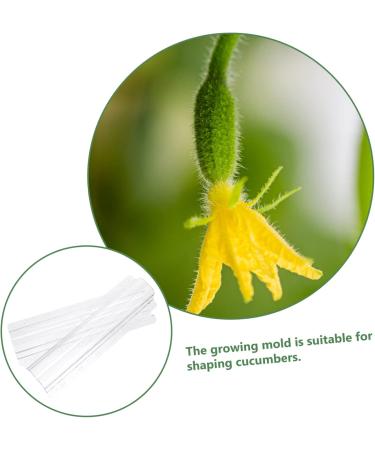 Toddmomy 3pcs Vegetable Shaping Vegetables Fruit Stereotypes Molds Shaper Garden Tools Pizza - Buy Online on GoSupps.com