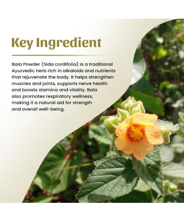 Neel Ayurvedics Bala Powder 300 GM - Buy Online on GoSupps.com