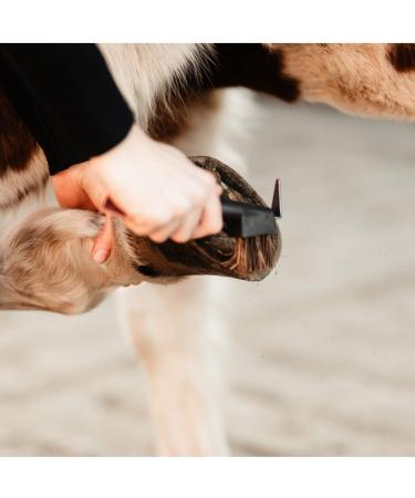 Animalon Natural Bristles Hoof Scraper & Brush | Ergonomic 2-in-1 Stainless Steel Tool for Horse Hoof Care | Brown Outdoor Huf Clearer - Buy Online on GoSupps.com