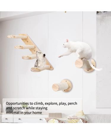 Wall Mounted Cat Furniture Set with Hammock, Stairs, Shelf, and Perch - Ideal for Large Cats and Kittens to Sleep, Play, and Climb - Buy Online on GoSupps.com