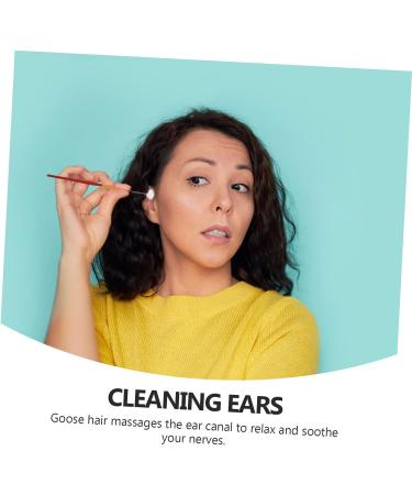 Healeved 1 Set Ear Picking Set Baby Sets Household Tools Ear Cleaning Tool Earwax Cleaning Tools Earwax Removal Kit Ear Cleaner Spoon Ear Picks for Home Earwax Cleaning Kit Ear Cleaner Kit - Buy Online on GoSupps.com
