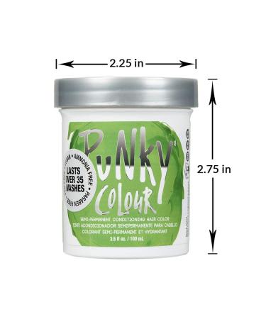 Punky Spring Green Semi Permanent Hair Color - Vegan, Non-Damaging Dye | 3.5oz Lasts Up to 35 Washes - Buy Online on GoSupps.com