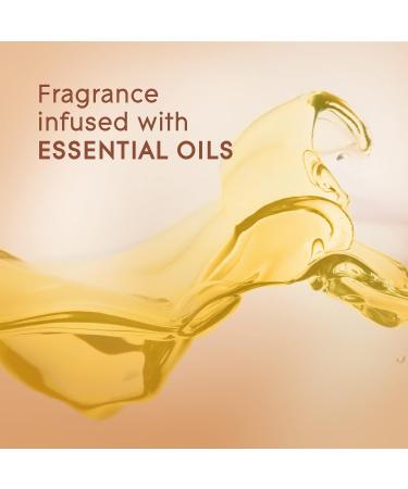 Glade Cashmere Woods Room Spray 8.3 oz - Pack of 6 | Long-Lasting Air Freshener - Buy Online on GoSupps.com