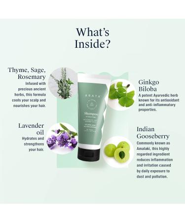 Arata Hydrating Shampoo - All Natural Vegan Formula with Ayurvedic Ginger & Ginkgo | Moisturizes Dry Hair | 2.5 Fl Oz | Cruelty-Free - Buy Online on GoSupps.com