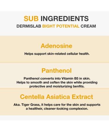 DermisLab Bright Potential Cream Lightweight Brightening Moisturizer for Radiant, Even-Toned Skin | Hydrating Daily Face Cream 100 ml / 3.38 oz - Buy Online on GoSupps.com