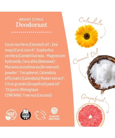 Earth Mama Bright Citrus Deodorant - Safe for Sensitive Skin Pregnancy & Breastfeeding Organic Grapefruit & Calendula No Baking Soda/Aluminum 2.65 oz - Buy Online on GoSupps.com