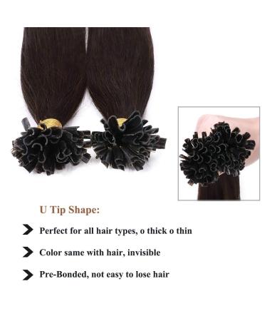 SEGO Bondings Extensions Real Hair - 100 Strands U-Tip Keratin Remy Human Hair Extensions Dark Brown #2 20 (50cm) - International Shipping Available - Buy Online on GoSupps.com