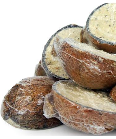 GardenersDream Suet Filled Coconut Halves | Premium Wild Bird Food | Protein-Rich High Energy Feed | Sunflower Seeds and Cereal Oat | Healthy Development for Birds | Year-Round Feeding (5 Pack) 1 count (Pack of 5) - Buy Online on GoSupps.com