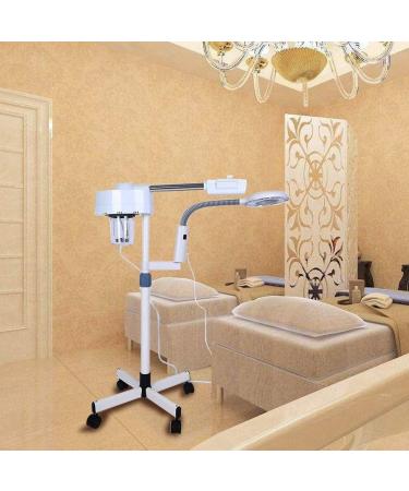 Lampadaire grossissant lumi re LED lumi re douce 2 en 1 vapeur faciale pour salon de beaut  - Buy Online on GoSupps.com