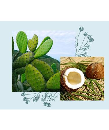 Officina Naturae Coconut and Arban Organic After Sun Cream in Aluminium Pot Bio Vegan 150 ml - Buy Online on GoSupps.com