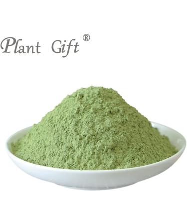 Plant Gift 100% Celery Powder 100G/3.25oz Non-GMO Powder No Filler No additives Natural Chinese Flour Adds Flavor and Taste Great Flavor for Drinks 2UK-PO0081 - Buy Online on GoSupps.com