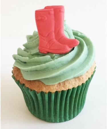 6 Fun & Vibrant Edible Sugar Wellies: Mixed Colours - Buy Online on GoSupps.com