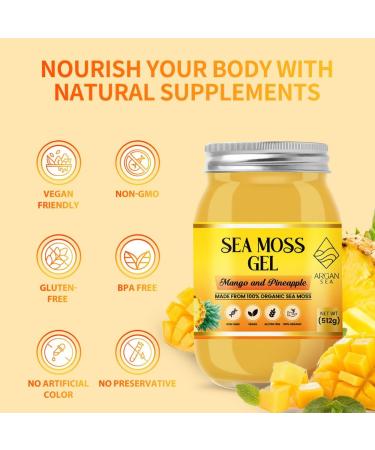 Mango & Pineapple Sea Moss Gel (500G) by ArganSea | Natural and Organic Made with Fresh Wildcrafted Irish Sea Moss from St Lucia | Dr Sebi Approved | 92 Vitamins Immune Boost Superfood - Buy Online on GoSupps.com