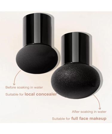 Mushroom Head Air Cushion Moisturizing BB Cream Concealer | Mushroom Head Air Cushion BB Cream Mushroom Head Foundation Full Coverage Foundation for Friends and Fr - Buy Online on GoSupps.com