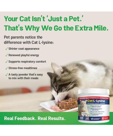 Guardian s Choice 250mg L-Lysine for Cats, Advanced Immune Support for Respiratory, Eye & Nose Health, Chicken Liver Flavored Lysine Powder for Kittens & Seniors, 200 Servings - Buy Online on GoSupps.com