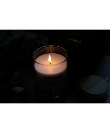 Buy WIS/CANDLE Crystal Wishing Aromatherapy Candle with Prasiolite - Enhance Career & Relaxation at Home or Office - Buy Online on GoSupps.com