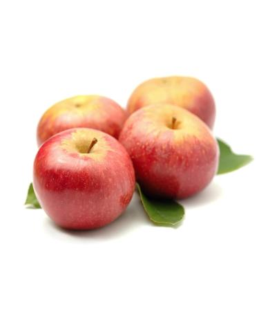 Annurkap Vial Anti-Caduta Energizing Hair Fortifier - 10 Vials | International Shipping Available - Buy Online on GoSupps.com