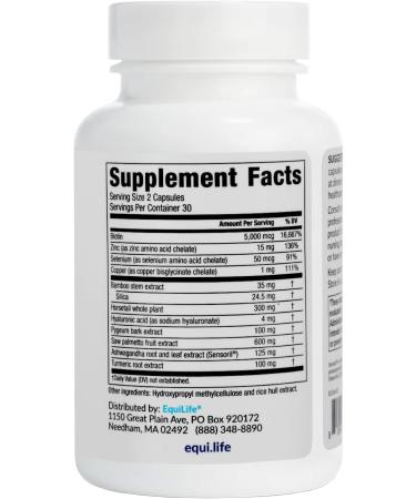 Equilife Daily Hair Support, Hair Supplement with Biotin, Ashwagandha, Zinc, Selenium, and Saw Palmetto, Vitamins and Minerals for Hair and Scalp Nourishment, Gluten Free, 60 Capsules - Buy Online on GoSupps.com