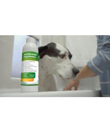 Aqueos Antibacterial Antiviral & Antifungal Dog Shampoo 1 Litre - For Itchy, Minor Wounds, Irritations & Sensitive Skin - Buy Online on GoSupps.com