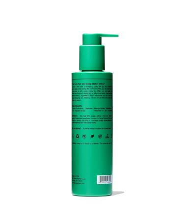 Fellow Summer Wash 6.7 fl oz - Refreshing Cleanser for All Skin Types | International Shipping Available - Buy Online on GoSupps.com