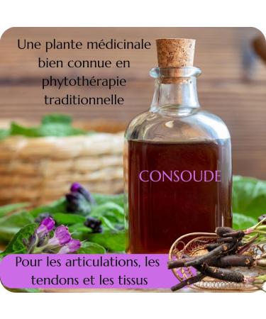 Green idea Gel de Massage au Consoude 500 ml | Gel Naturel pour Soin de la Peau Muscles et Articulations | Avec Extrait de Symphytum Officinale et Alanto ne | Cosm tique Naturelle - Buy Online on GoSupps.com