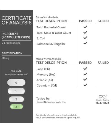 Ergothioneine Supplement (EGT) 30mg of Pure Plant-Based L-Ergothioneine Per Capsule 60 Count (May Support Longevity and Healthy Aging) Non-GMO Gluten Free Vegan Safe by Double Wood - Buy Online on GoSupps.com