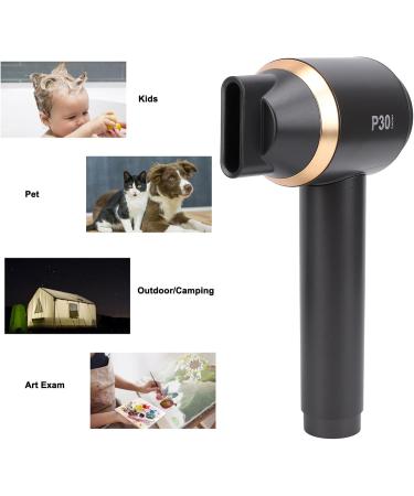 Cordless Ionic Hair Dryer Ionic High Speed Blow Dryer Portable Travel Hair Dryer Household Fast Drying Cold Heat Constant Air Blow Dryer Professional Negative Ions Hair (US Plug US Plug 100 240V 100-240V - Buy Online on GoSupps.com