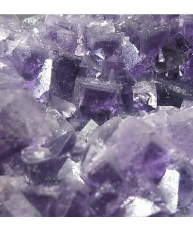 26g Rare Transparent Purple Cube Fluorite Crystal Specimen/China ningxiao - Buy Online on GoSupps.com