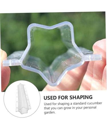 GANAZONO 6 Pcs Vegetable Shaping Shaped Cucumber Shaping Moulds Cucumber Molds Strawberry Transparentx2pcs 20x5.5cmx2pcs - Buy Online on GoSupps.com