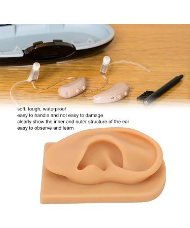 Flexible Silicone Right Ear Model for Teaching, Ear Picking, and Piercing - Waterproof & Realistic Simulation Display Accessory - Buy Online on GoSupps.com