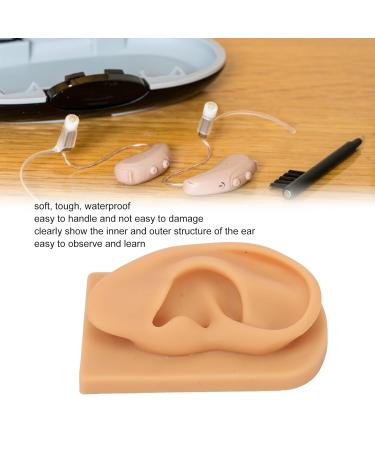 Soft Silicone Right Ear Model - Waterproof & Durable Fake Ear Display - Buy Online on GoSupps.com