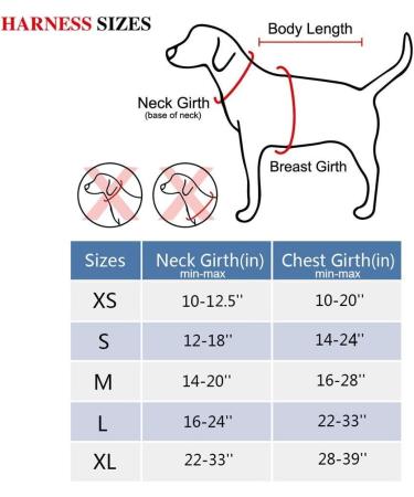 PoyPet No Pull Dog Harness | Reflective Adjustable Vest for Small Dogs | Easy Control Handle | Black - Buy Online on GoSupps.com