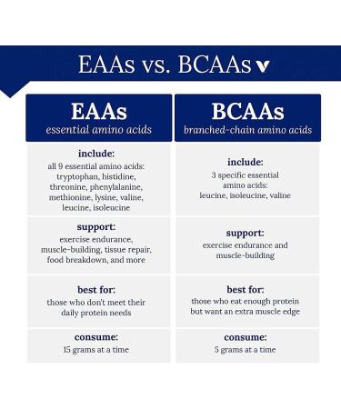 BodyTech BCAA Fruit Punch Powder - 11.5 Ounce (Pack of 1) | 2:1:1 Ratio for Muscle Recovery & Endurance - Buy Online on GoSupps.com