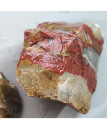 Yenoshi Natural Water jade Raw Stone Crystal Minerals Specimen Decorative Stone Healing Energy Stone - (Color: About 100g Size: Random Size) - Buy Online on GoSupps.com