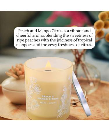Large Peach Mango Tropical Citrus Candle - Natural Soy Aromatherapy Jar - Long Lasting 10.6 oz Fresh Summer Scent for Home - Perfect Gift for Men & Women - Buy Online on GoSupps.com