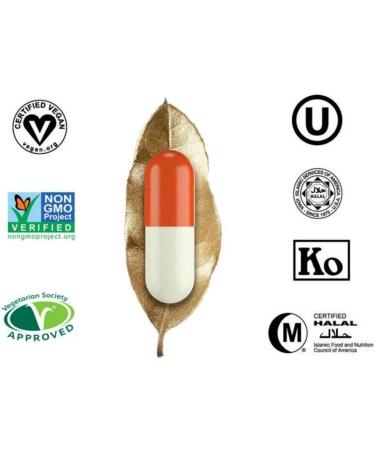 DR TT HEALTH UK LTD DR T&T Meat 000 size000 Plantcaps pullulan pullulan sweep Vegetary Caper Capule 500 - Buy Online on GoSupps.com