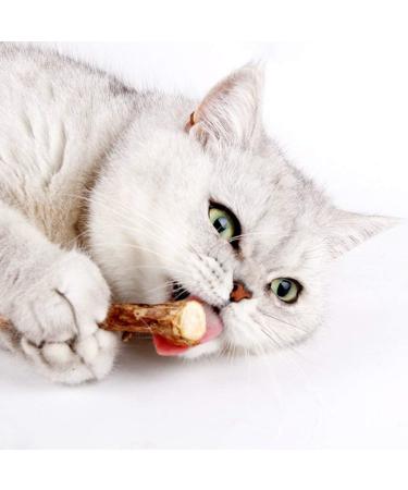 onebarleycorn Cat Catnip Toys for Cats Cat nip Toy Sticks Natural Matatabi Kitten Chews Toy Dental Treats Teething Stick for Cats Pack of 20 pcs 20 count (Pack of 1) - Buy Online on GoSupps.com