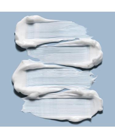 e.l.f. Holy Hydration! Sleep Mask - Ultra-Hydrating Dual-Use Face Mask 2.7 Fl Oz - Buy Online on GoSupps.com