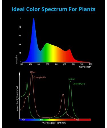 NICREW Classic LED Plus Aquarium Light | Full Spectrum for Freshwater Plants | 18-24 inch Tank - Buy Online on GoSupps.com