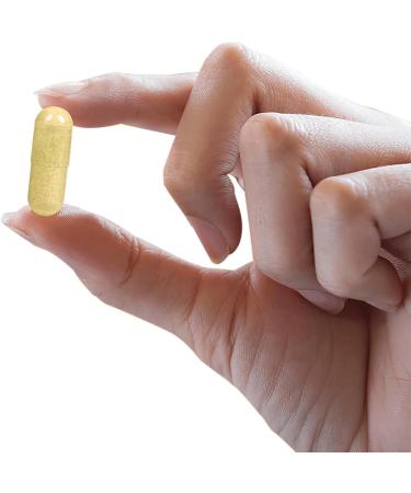 AvailNaturals Eye Vitamins - Lutein Bilberry Extract & Blueberry Extract 90 Capsules - Buy Online on GoSupps.com