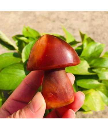 Natural Crystal Rough Crystals Stones 2 INCHES Natural Agate Quartz Carved Carnelian Crystal Mushroom Stone 1PC (Color : Light Grey Size : 10pc) 10pc Light Grey - Buy Online on GoSupps.com