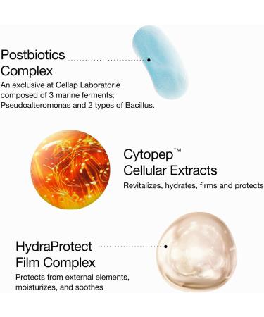 Concentrated - Hydrating & Smoothing Cellular Cream 1.7 Fl Oz (Pack of 1) - Buy Online on GoSupps.com