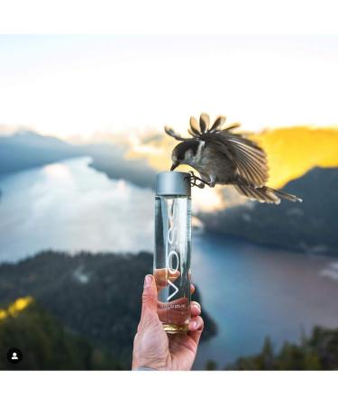 VOSS Still Water 375ml - Natural Mineral Water Pack of 24 | Premium Quality eCommerce Shipping Worldwide - Buy Online on GoSupps.com