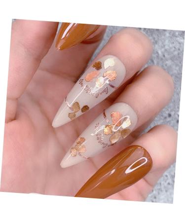 minkissy 5boxes Nail Decorations Metal Trim Nail Art Decoration Bling Decor Sequin Ornament Crafts Glitters Nails Foil Glitter Mica Slice Manicure Mica Slice DIY Nail Manicure Sequin Decor - Buy Online on GoSupps.com