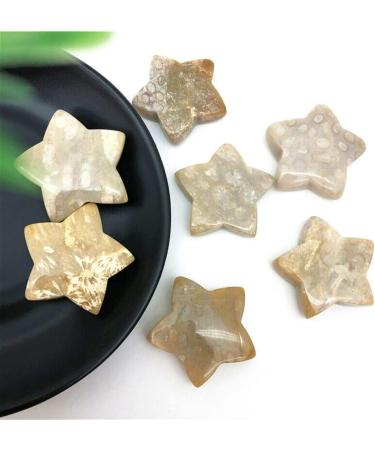 1 Piece Natural Coral Ammonite Star Crystal Stone Suitable for Home Chakra Reiki Balancing - Buy Online on GoSupps.com