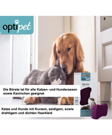 Optipet 3-in-1 Animal Brush for Dogs & Cats | Shorthair | Safe Massage Wet Use | Strengthens Fur & Removes Hair | Washable & Easy Care - Buy Online on GoSupps.com