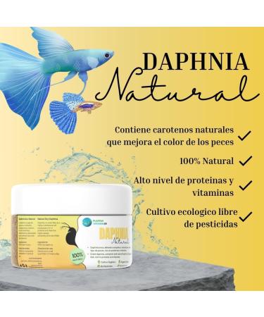 Dried Daphnia Natural Plantaseuses 50 ML 100% Natural Insect-Based Food for Fish Rich in Protein and Vitamins - Buy Online on GoSupps.com