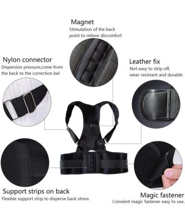 DFHBFG Adjustable Back Waist Support Belt - X-Large Lumbar Brace & Posture Trainer - Buy Online on GoSupps.com