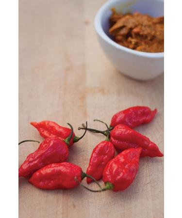 Naga Hot Chilli Pepper Pickle Sauce | Hot Recipe | Unique and Distinctive Flavour | 190g - Buy Online on GoSupps.com