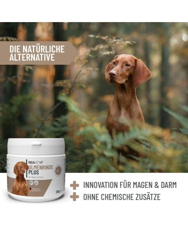 Reavet USA Elm Bark for Dogs & Cats - 120g | Natural Mucus Support & Digestive Health | Premium Quality Slippery Elm - Buy Online on GoSupps.com